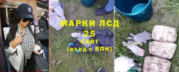 шишки Беломорск