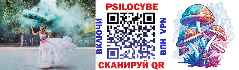 купить   Дигора  Галлюциногенные грибы Psilocybine cubensis 